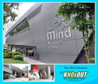 The Mind Museum